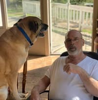 Jimbo Williams's profile image