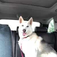 Carl M Roach Jr's profile image