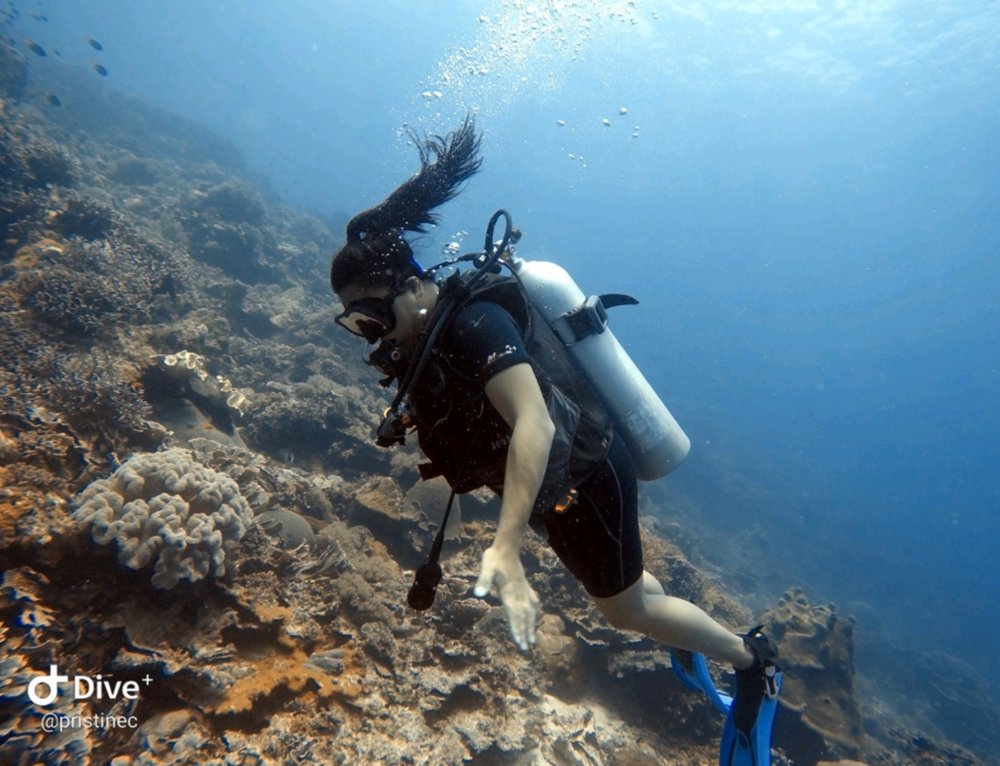 Pristine C.'s profile image