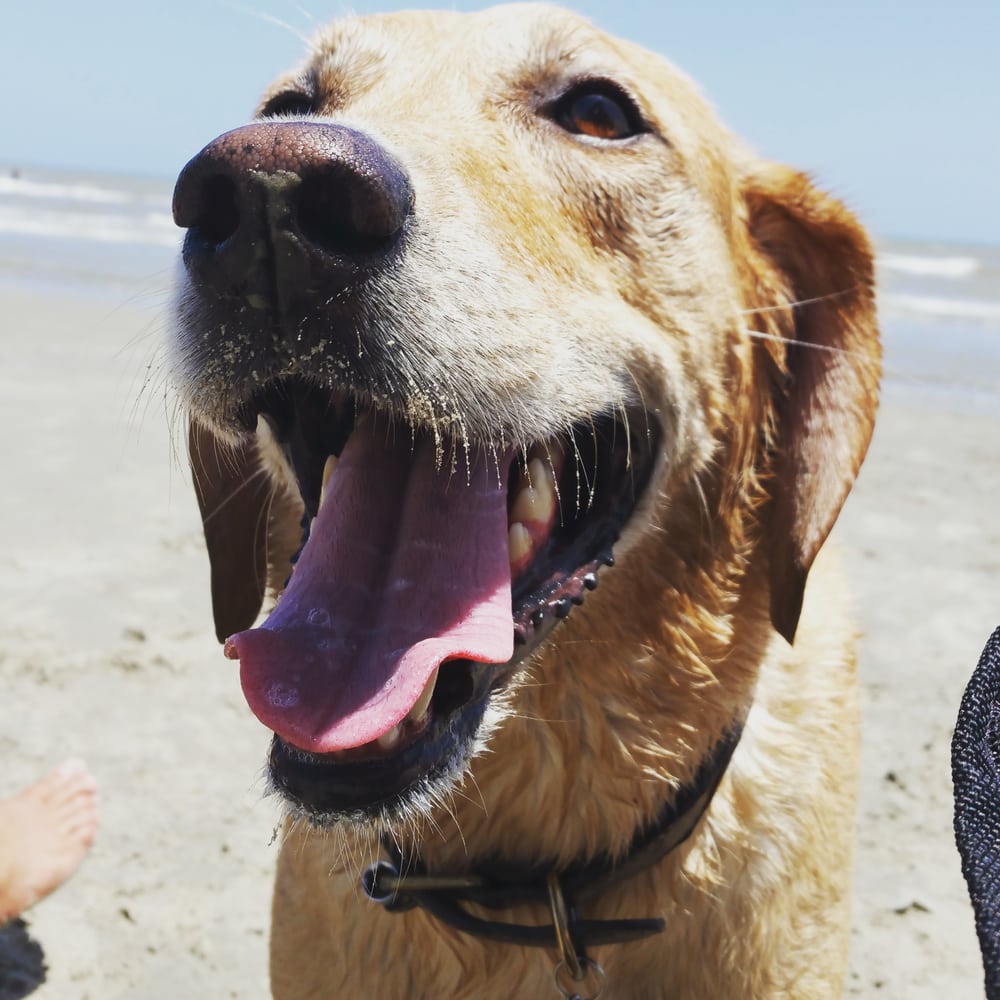 Anna G.'s profile image