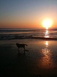 Chris B.'s profile image