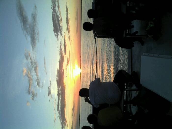 susan f.'s profile image