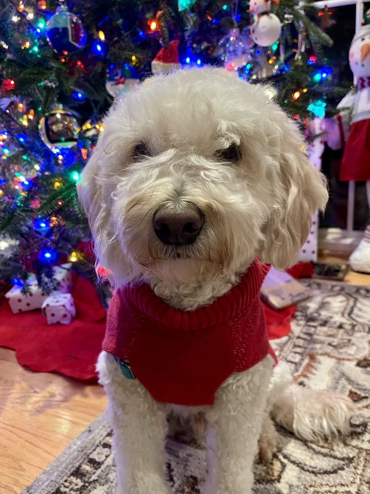 Carol J.'s profile image