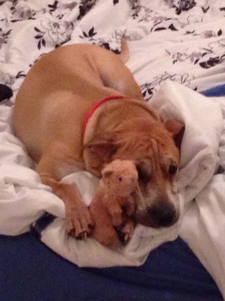 Jacob B.'s profile image