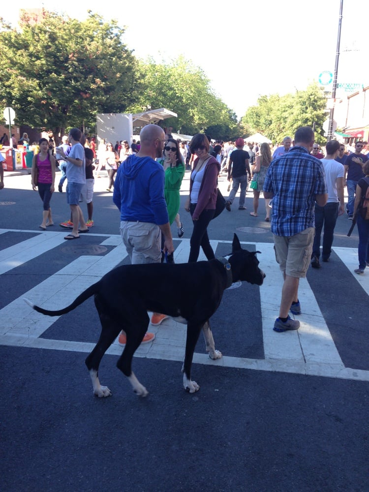 Chris K.'s profile image