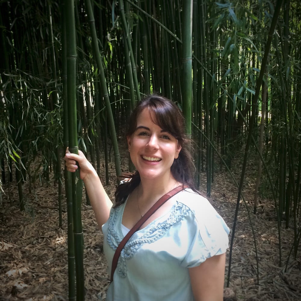 Anna B.'s profile image