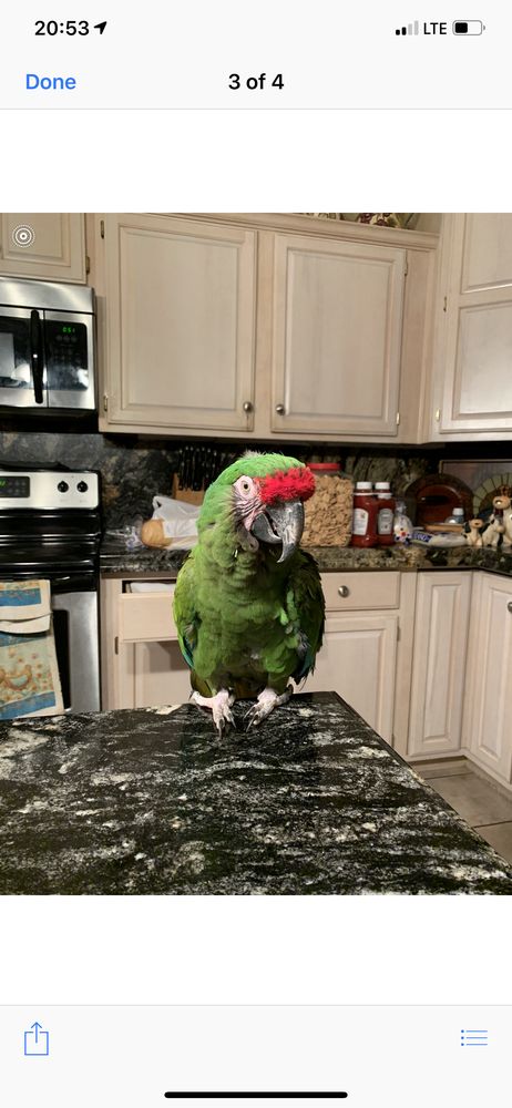 Mo D.'s profile image