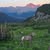 Terri Neveldine-Schlotterbeck's profile image