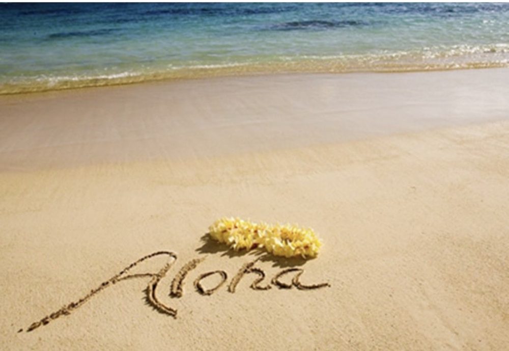 Aly L.'s profile image