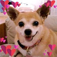 Justin H.'s profile image