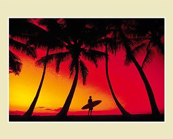 Aloha E.'s profile image
