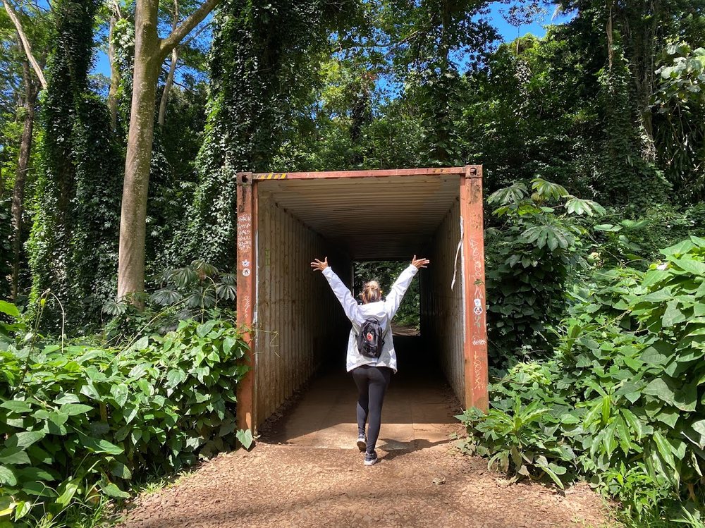 Ronette S.'s profile image