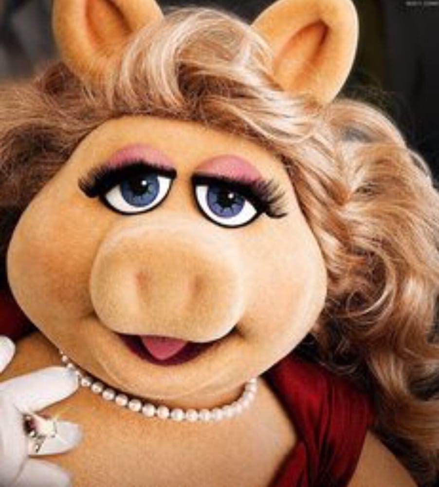 Jessica P.'s profile image