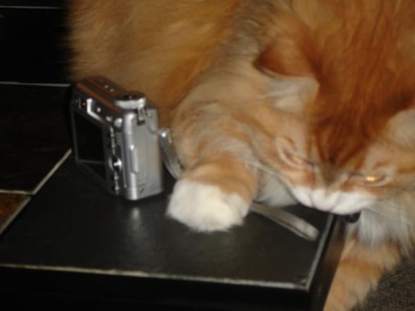 Michelle O.'s profile image