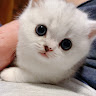 Tony H.'s profile image