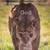 Janice Weir's profile image