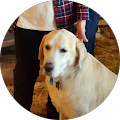 Profile Photo of Beverly V