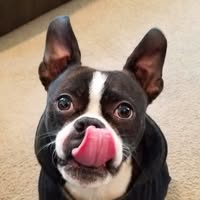 Clint Sewright's profile image