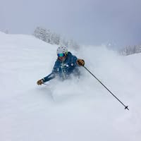 David Olson's profile image