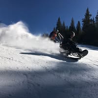Mike Adams's profile image