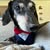 Donna Maddox's profile image