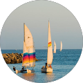 Joanna Rankin's Profile Image