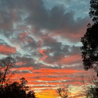 Callista Gilbert's profile image