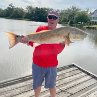 Reese Bischoff's profile image