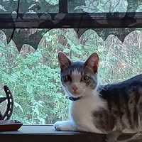 Rita Goodman's profile image