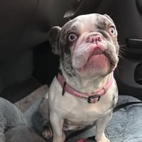 Raq Mun's profile image
