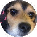 Dennis S's Profile Image