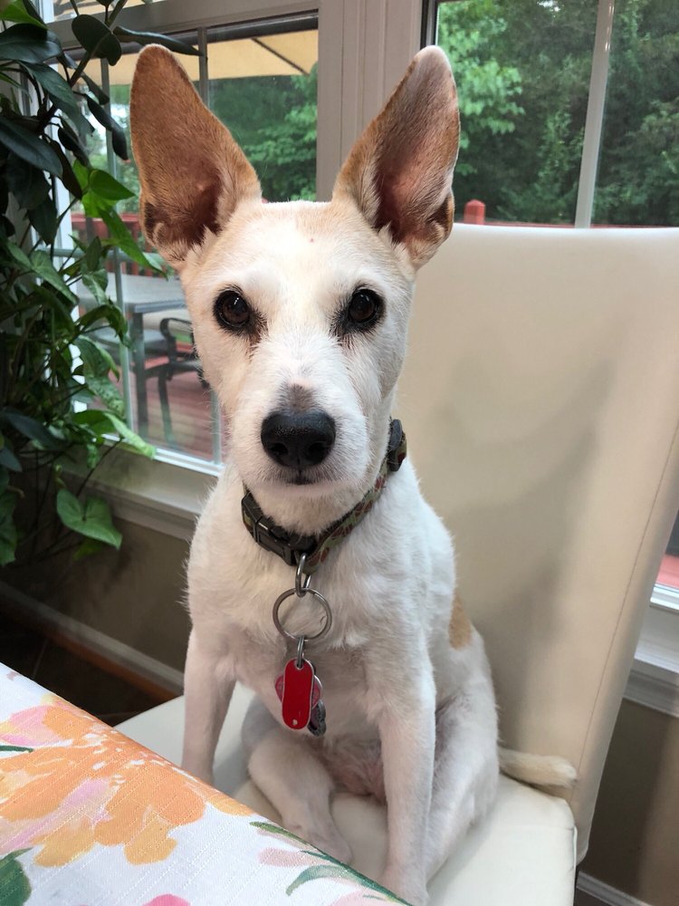 Nathalie R.'s profile image