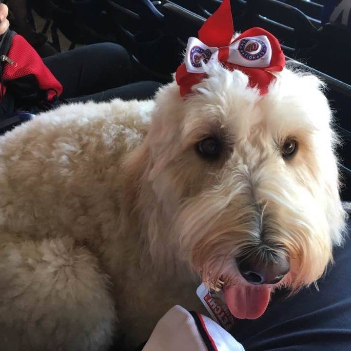 Debi L.'s profile image