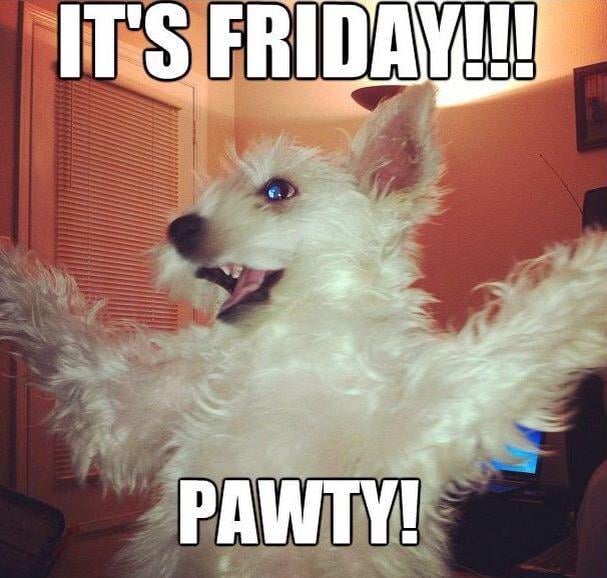 David R.'s profile image