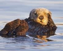 Anna H.'s profile image