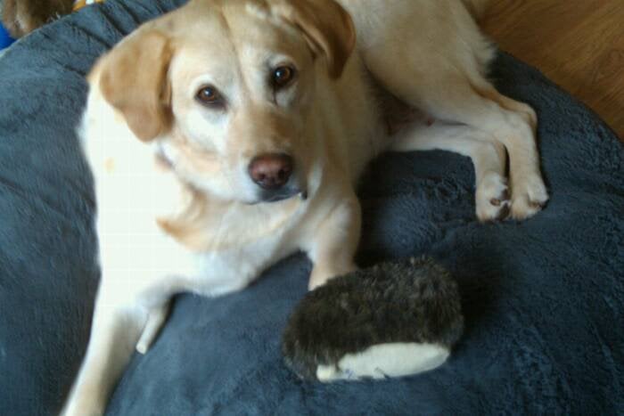 Dawn G.'s profile image