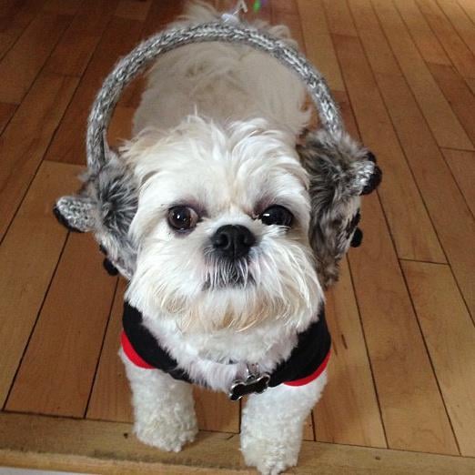 Colleen F.'s profile image