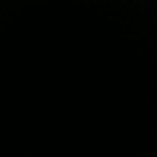 Dawn L.'s profile image