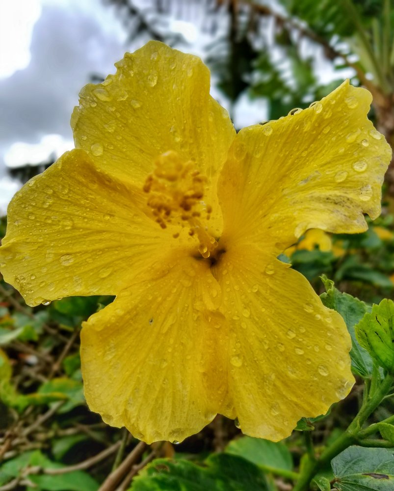 Rosemary M.'s profile image