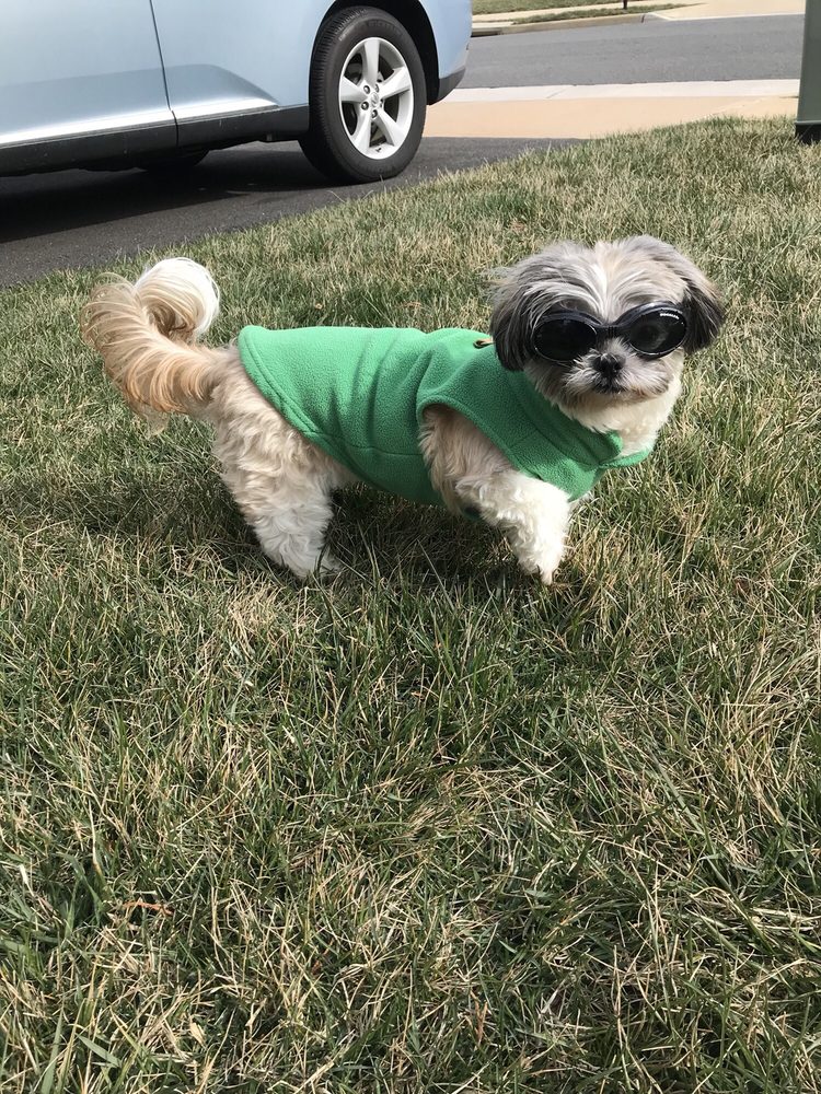 Tammy C.'s profile image