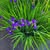 Janet Sanger Henkle's profile image
