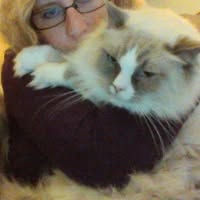 Chrissy Browning-Kelley's profile image