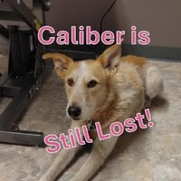 Casey Matthews's profile image