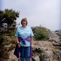 Deb Cook's profile image