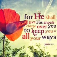 Vicki Lipira's profile image