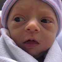 Glynis Bisig Neil's profile image