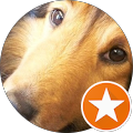 Gloria Hulst's Profile Image