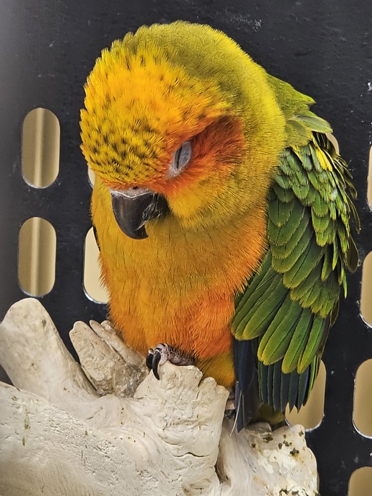 Sandy P.'s profile image