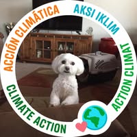 Jill Daugherty's profile image