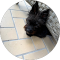 barbara parrado's Profile Image